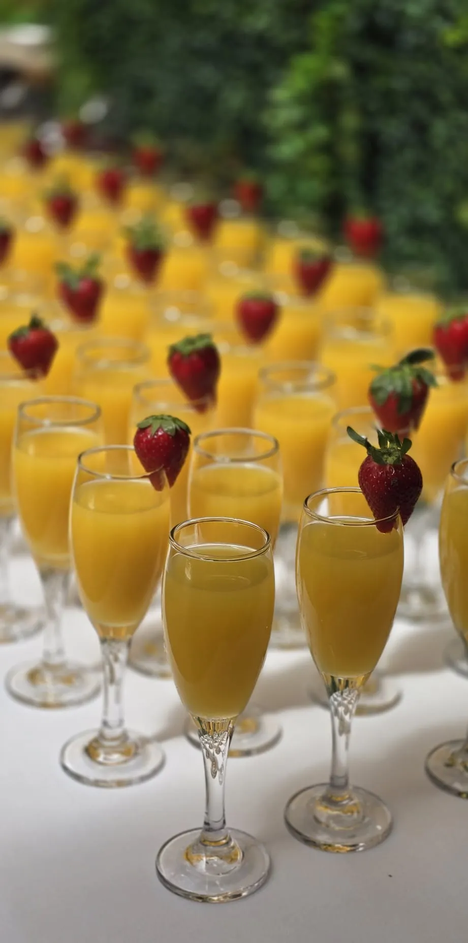 A tray of bucks fizz in champagne flutes, each with a strawberry on the rim