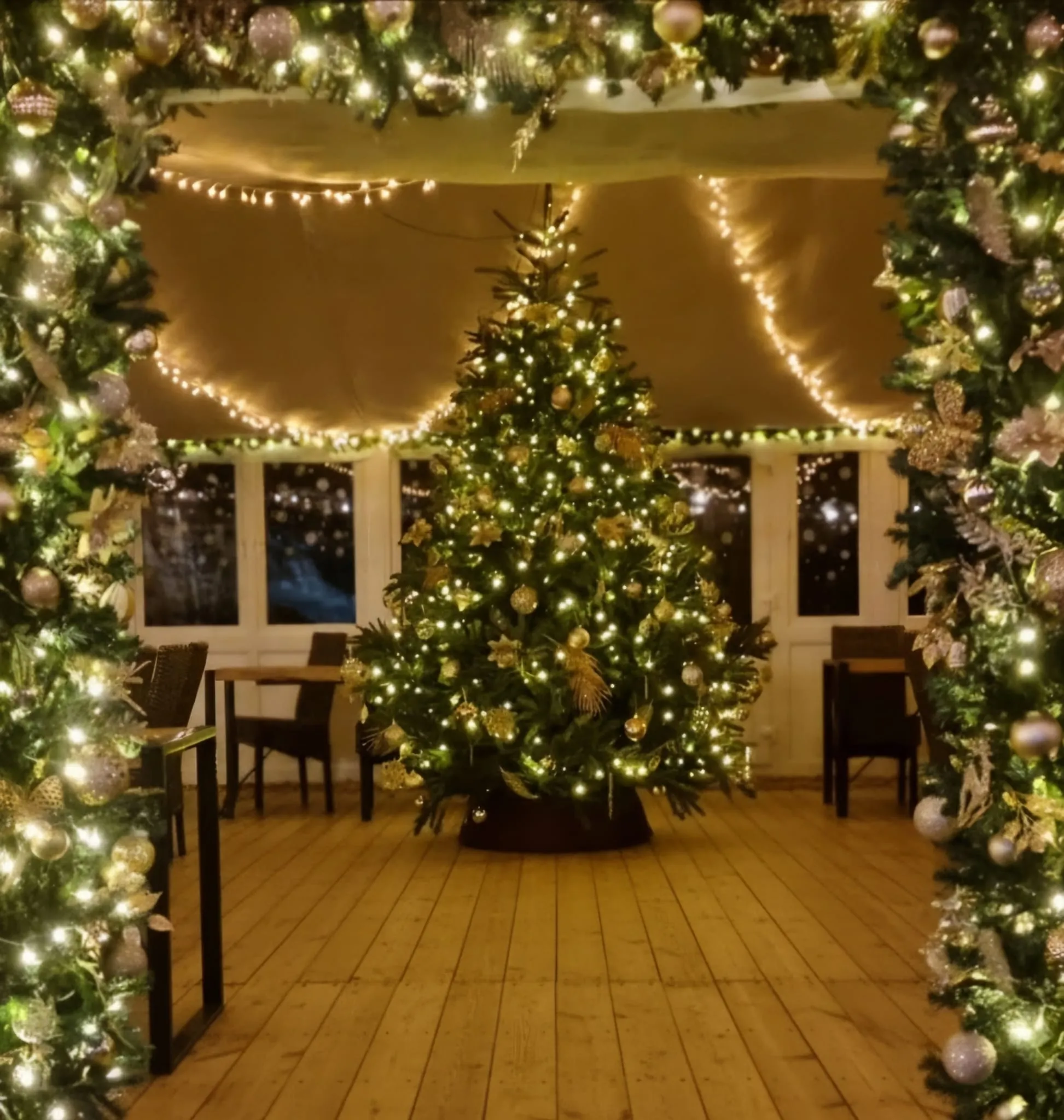 The Christmas tree lit at night in the conservatory, framed by garlanded posts under a canopy of fairy lights