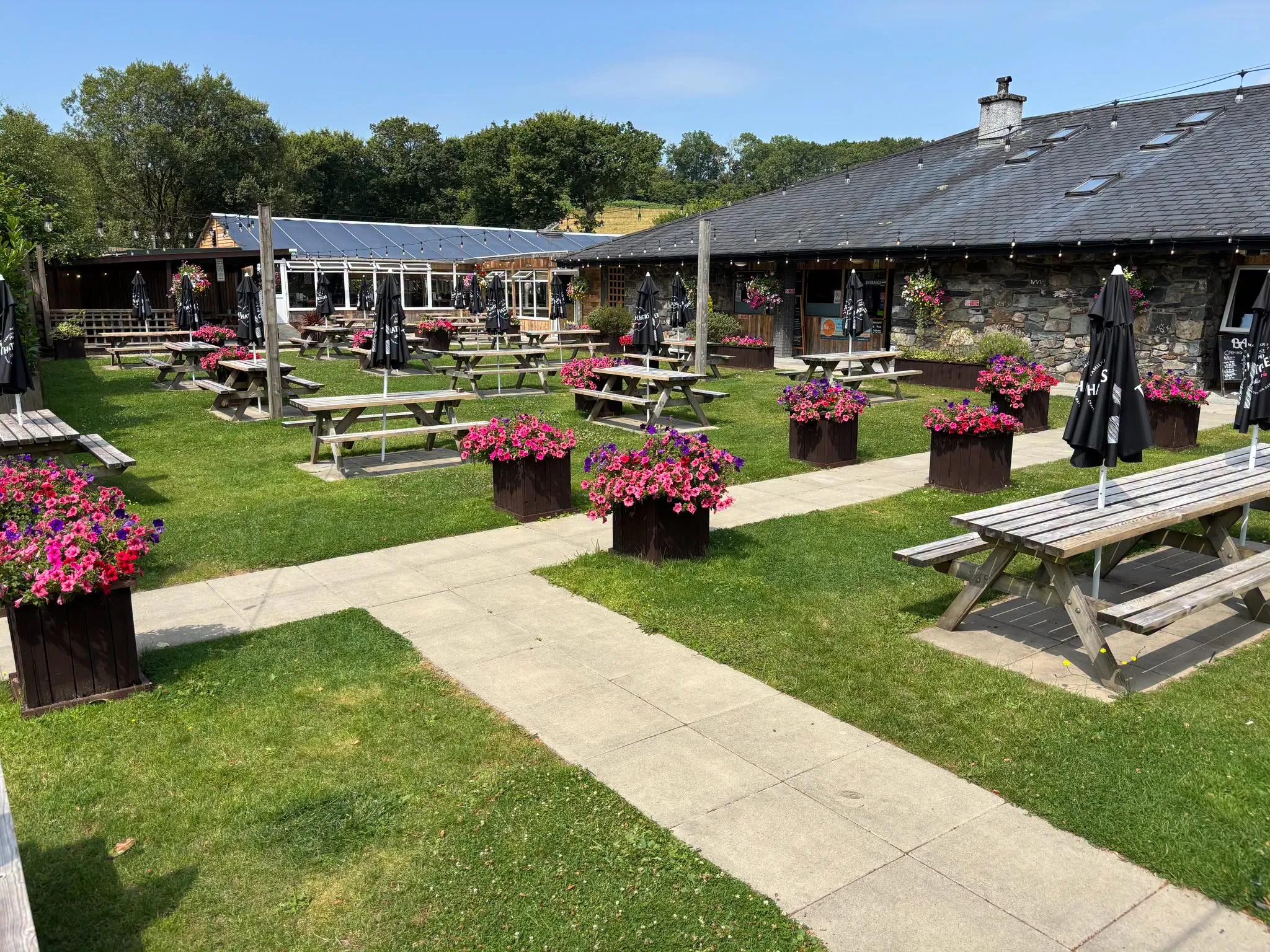 The beer garden from lawn level, with planters in bloom and the pub behind
